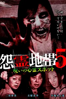 Grudge Zone 5: Cursed Haunted Spots poster