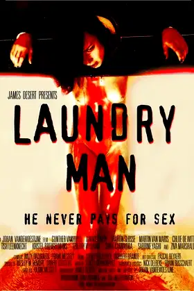 Laundry Man poster