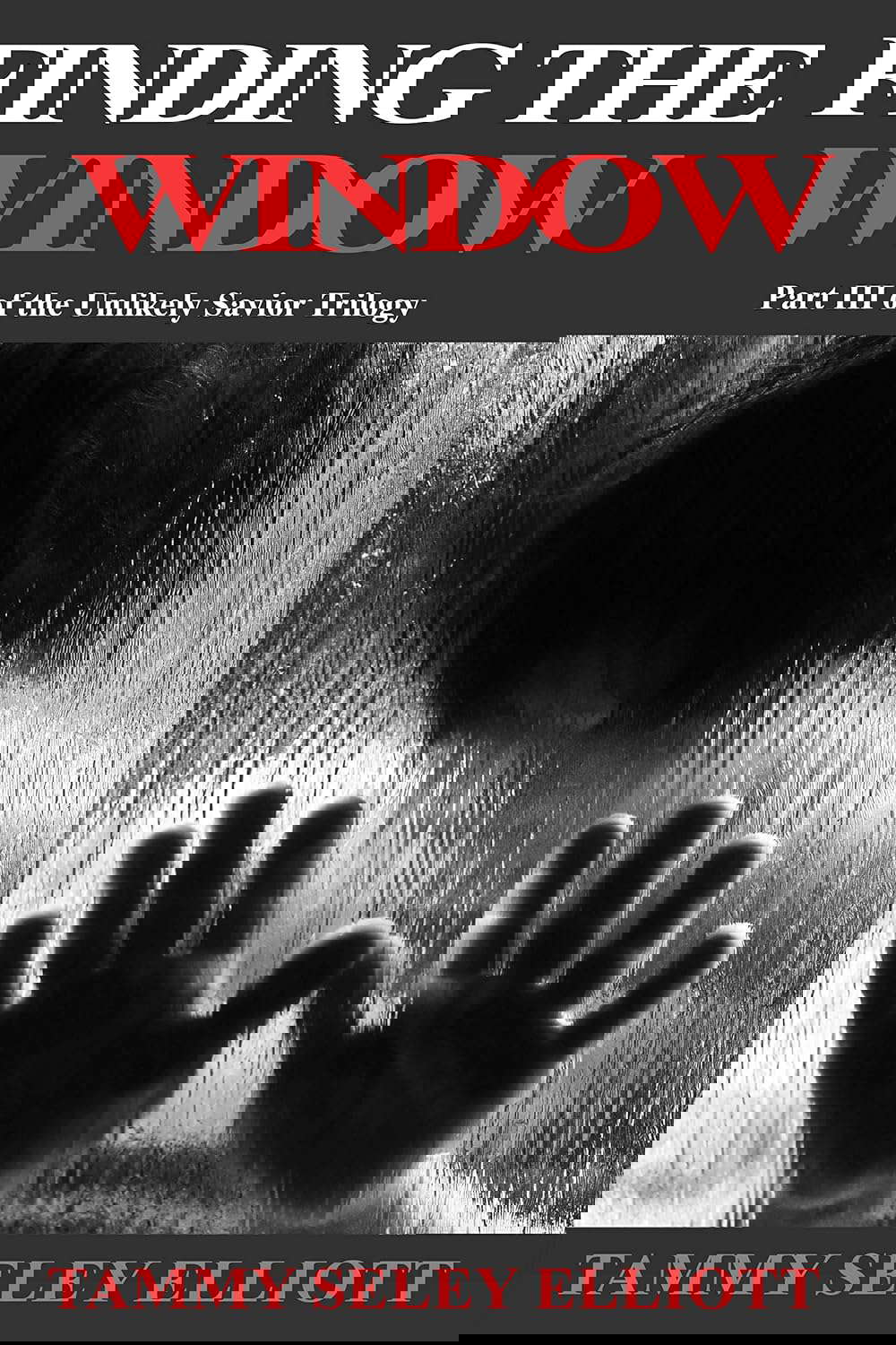 Finding the Window: Part III of the Unlikely Savior Trilogy poster
