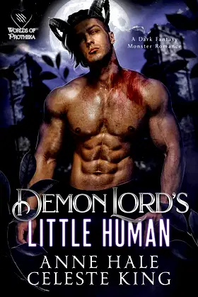 Demon Lord's Little Human poster