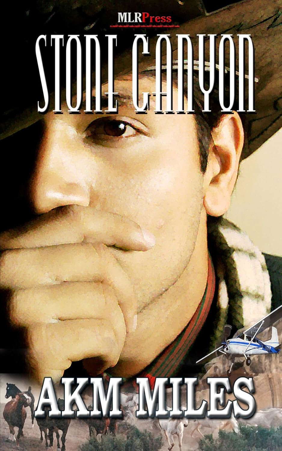 Stone Canyon poster