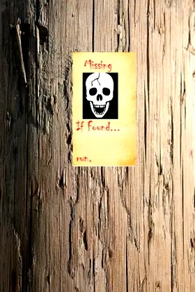 Missing Persons poster