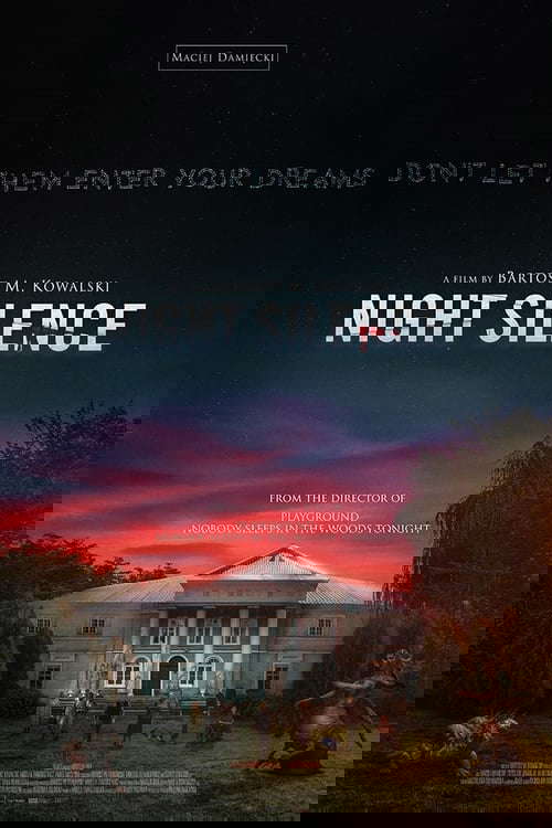 Night Silence poster