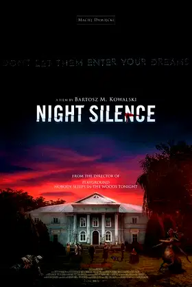 Night Silence poster