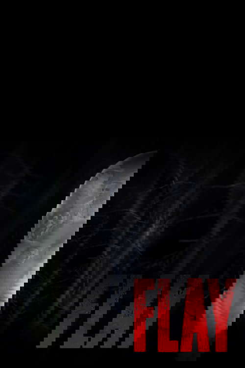 Flay poster