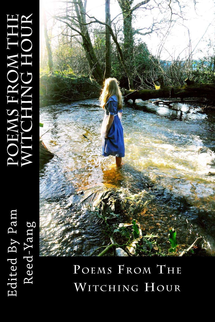Poems From The Witching Hour poster