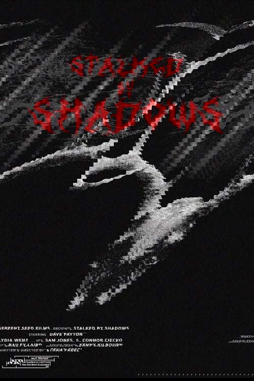 Stalked by Shadows poster
