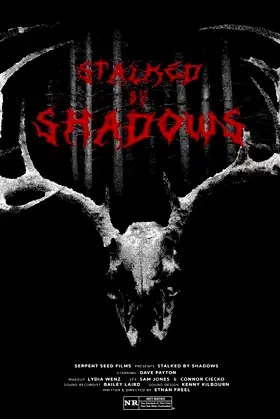 Stalked by Shadows poster