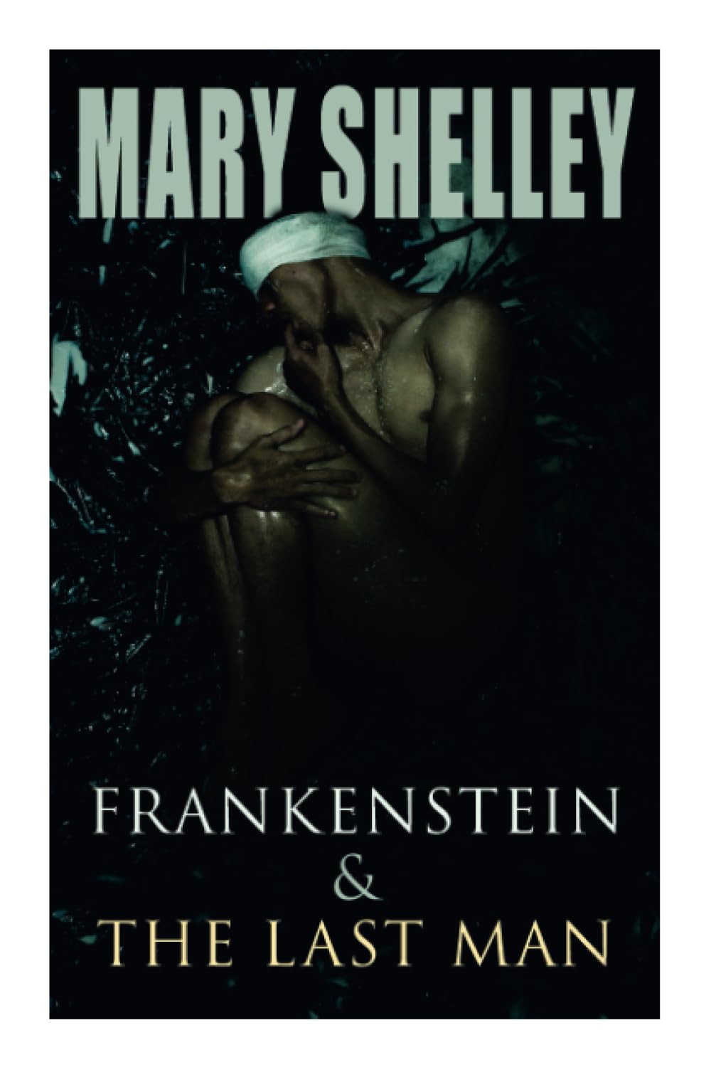 Frankenstein & The Last Man: Two Dark Fantasy Classics poster