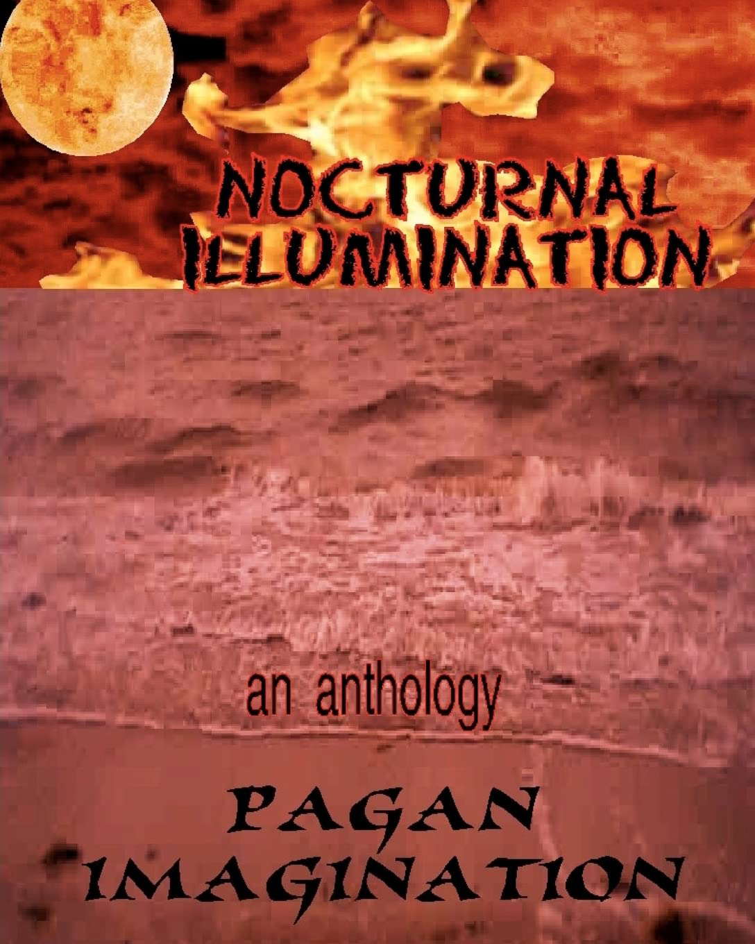 Nocturnal Illumination: An Anthology poster