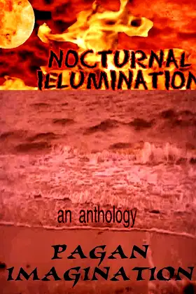 Nocturnal Illumination: An Anthology poster