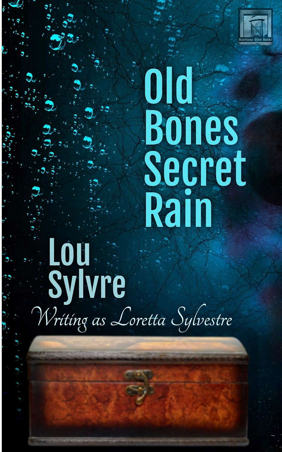 Old Bones Secret Rain poster