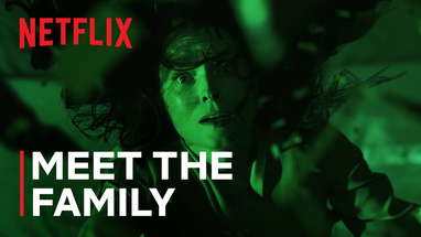 Meet the Family poster