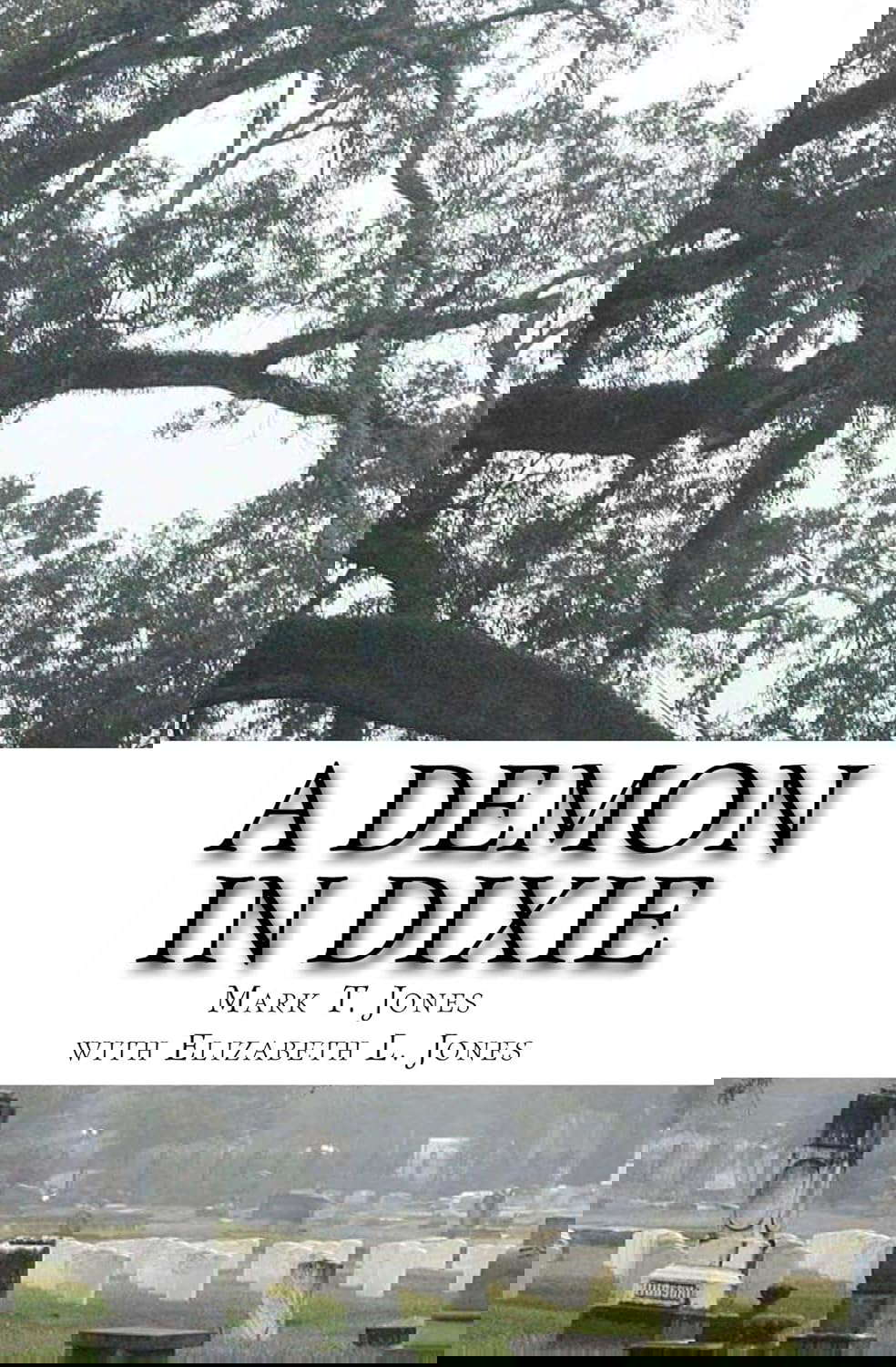 A Demon in Dixie poster
