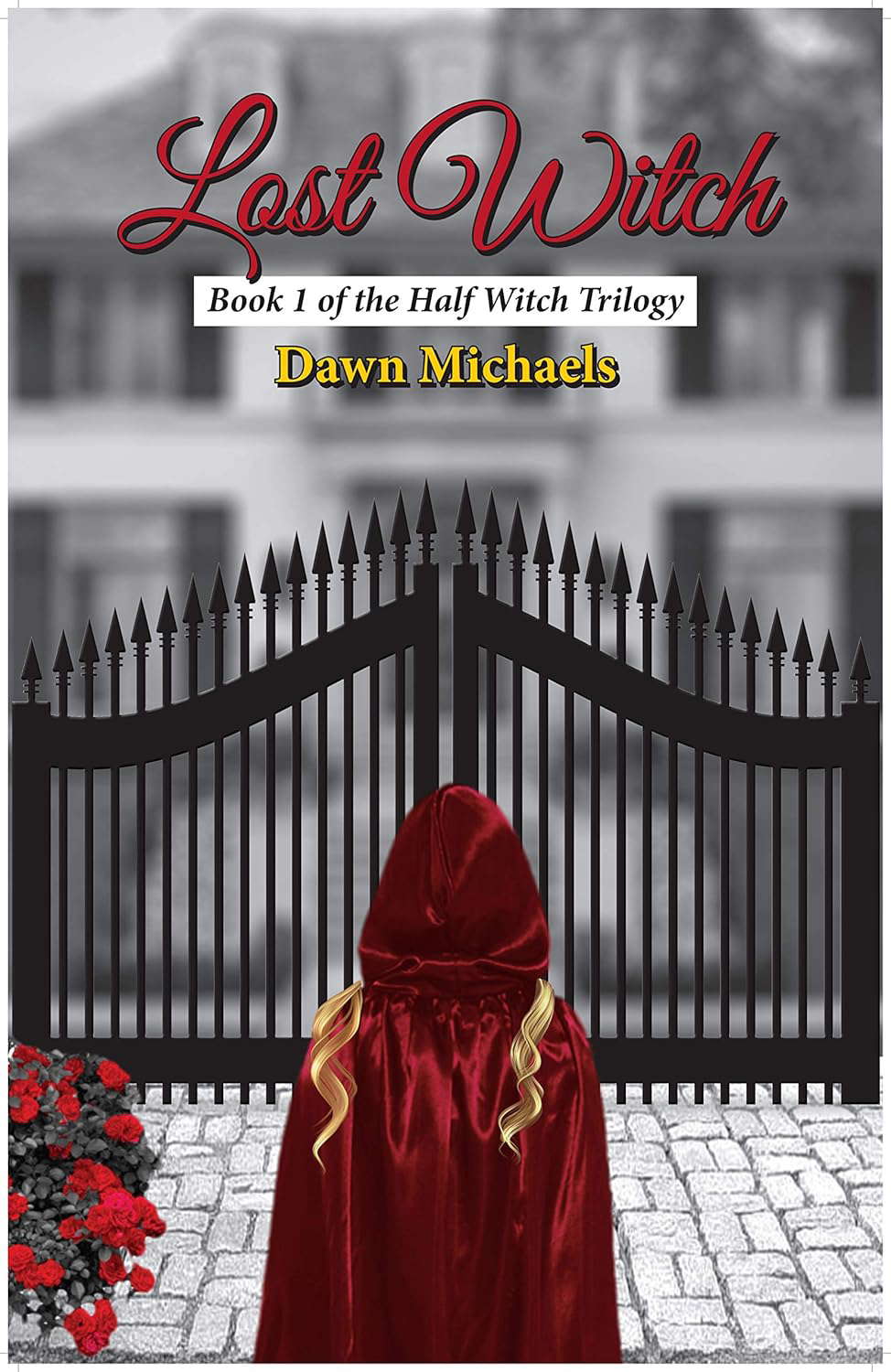 Lost Witch: Book 1 of the Half Witch Trilogy poster