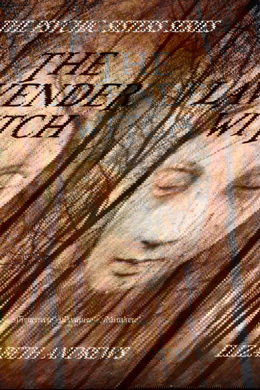 The Lavender Witch: The Psychic Sisters series poster
