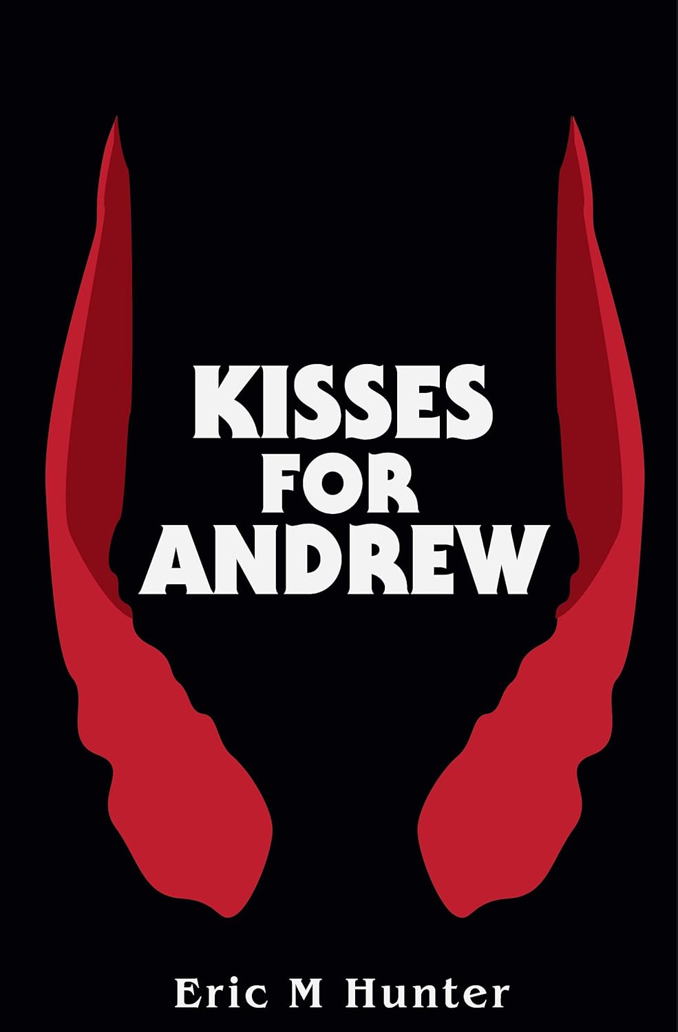 Kisses for Andrew poster