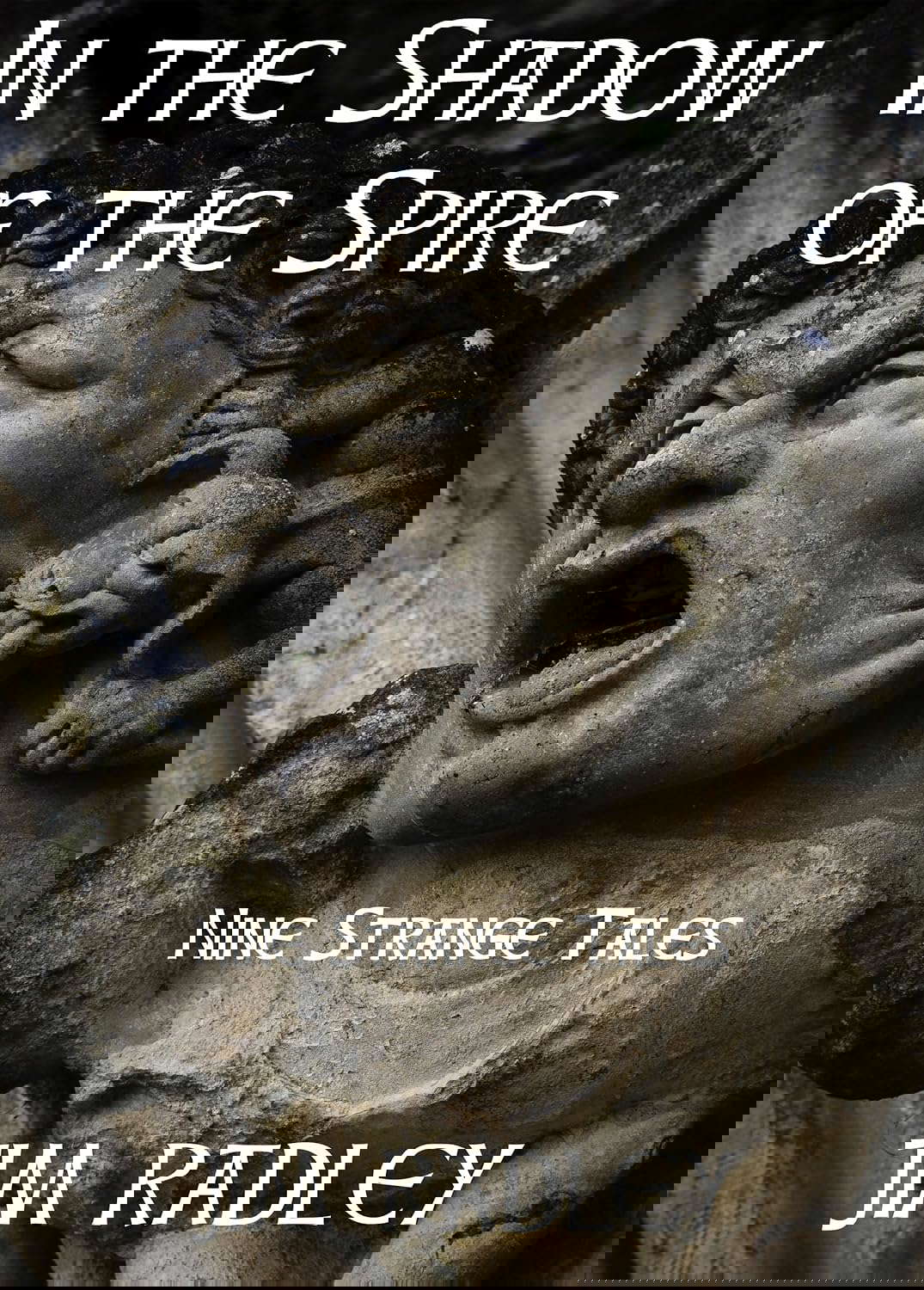 In the Shadow of the Spire (Wyrd Barchester Book 1) poster