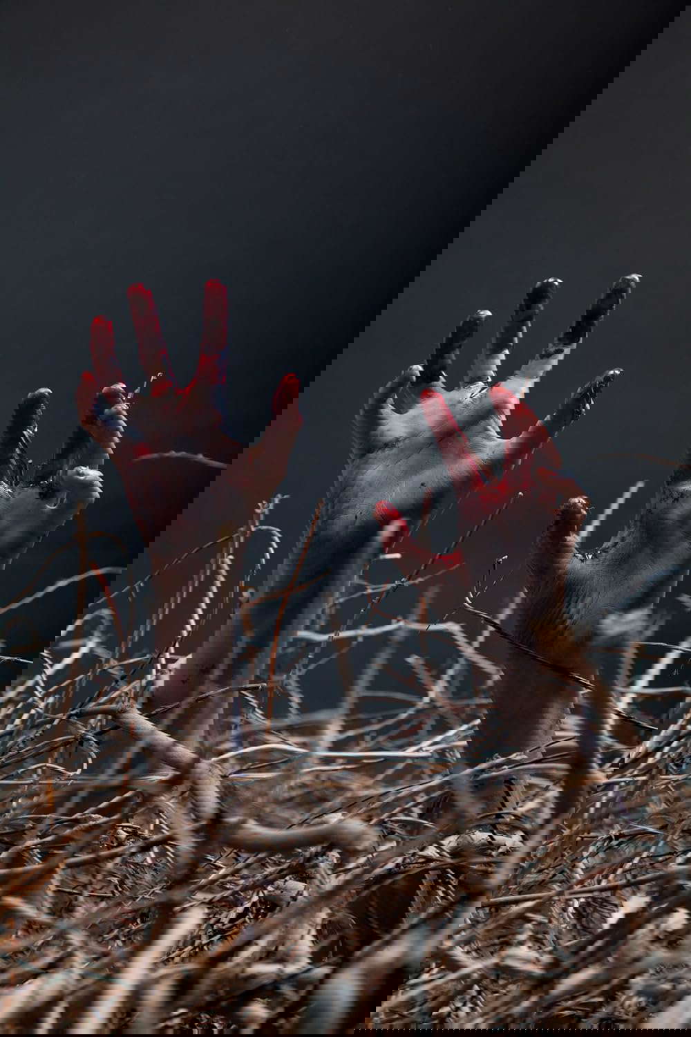 A Zombie Apocalypse 11: Bringing Back The Dead poster