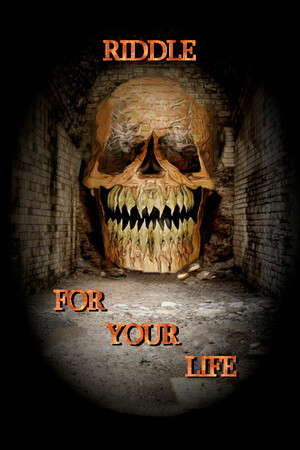 Riddle for your Life poster