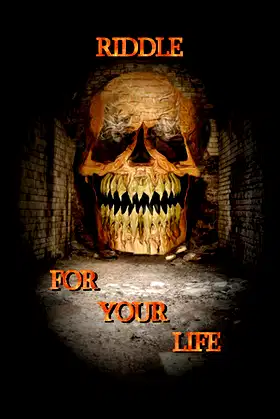 Riddle for your Life poster