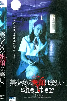 The Beautiful Dead Face of a Pretty Girl: shelter poster