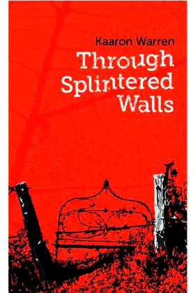 Through Splintered Walls (Twelve Planets Book 6) poster