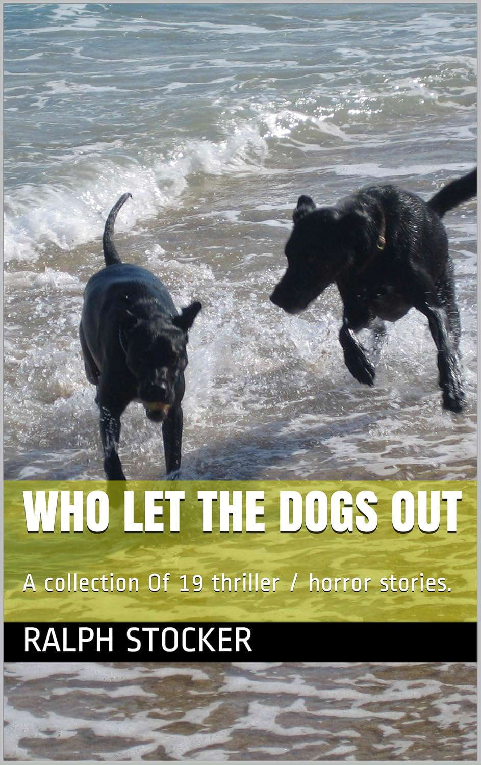 WHO LET THE DOGS OUT: A collection Of 19 thriller / horror stories. poster