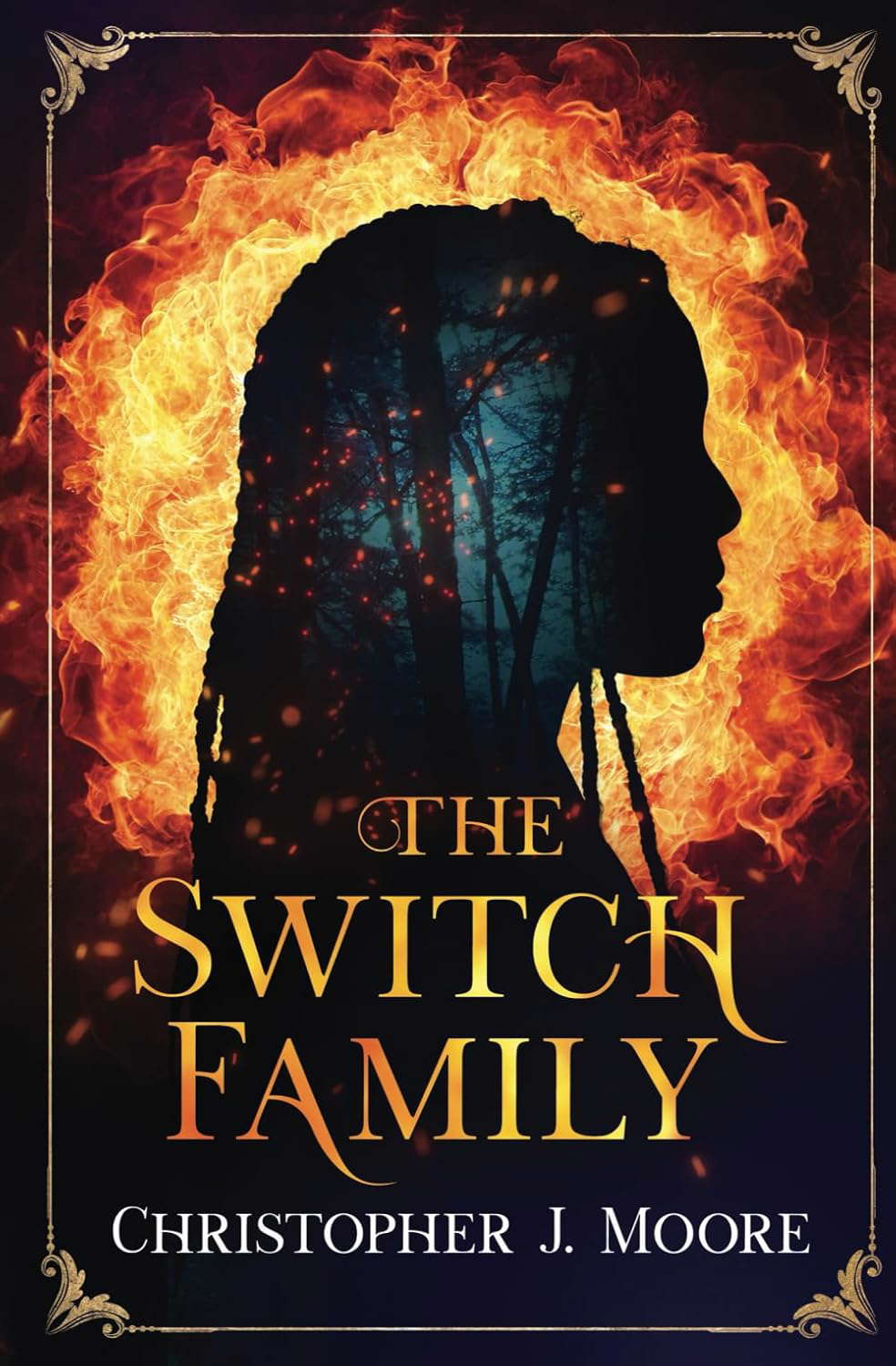 The Switch Family poster