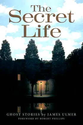 The Secret Life poster