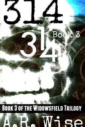314 Book 3 (The Widowsfield Trilogy) poster