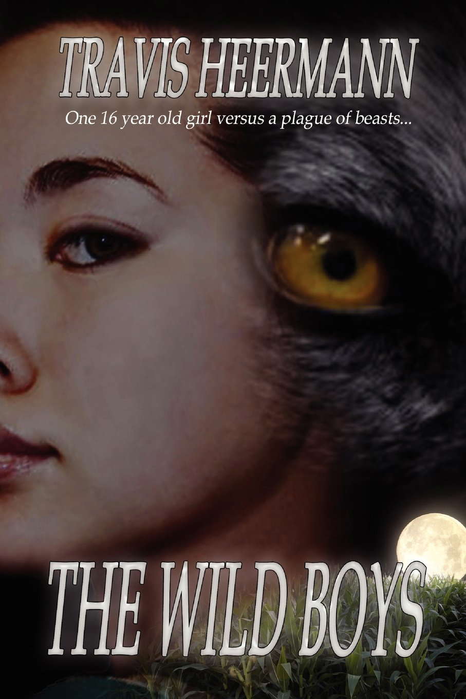 The Wild Boys poster