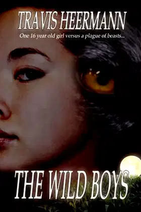 The Wild Boys poster
