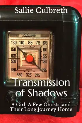 Transmission of Shadows: A Girl, A Few Ghosts, and Their Long Journey Home poster
