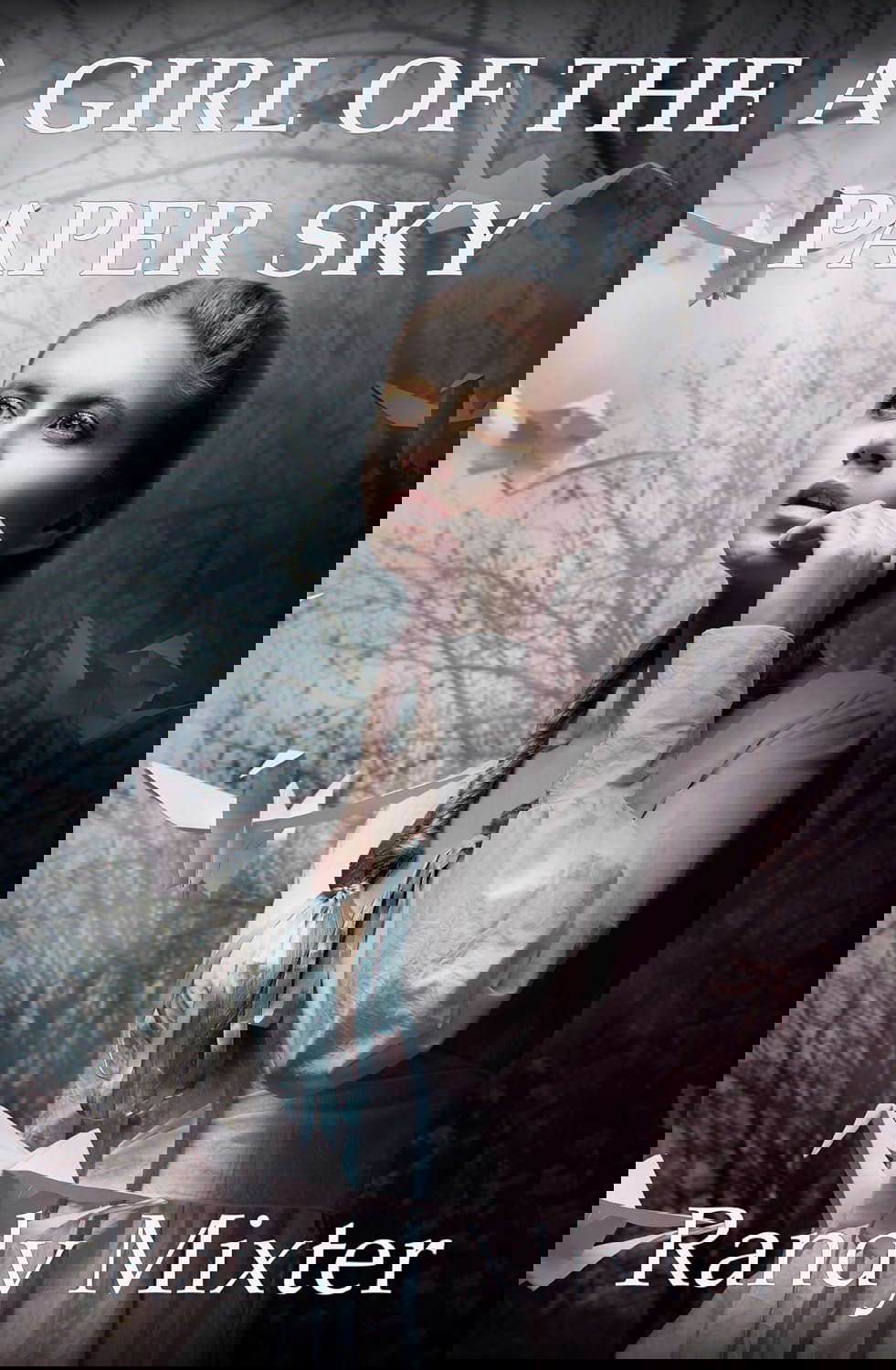 A Girl Of The Paper Sky poster