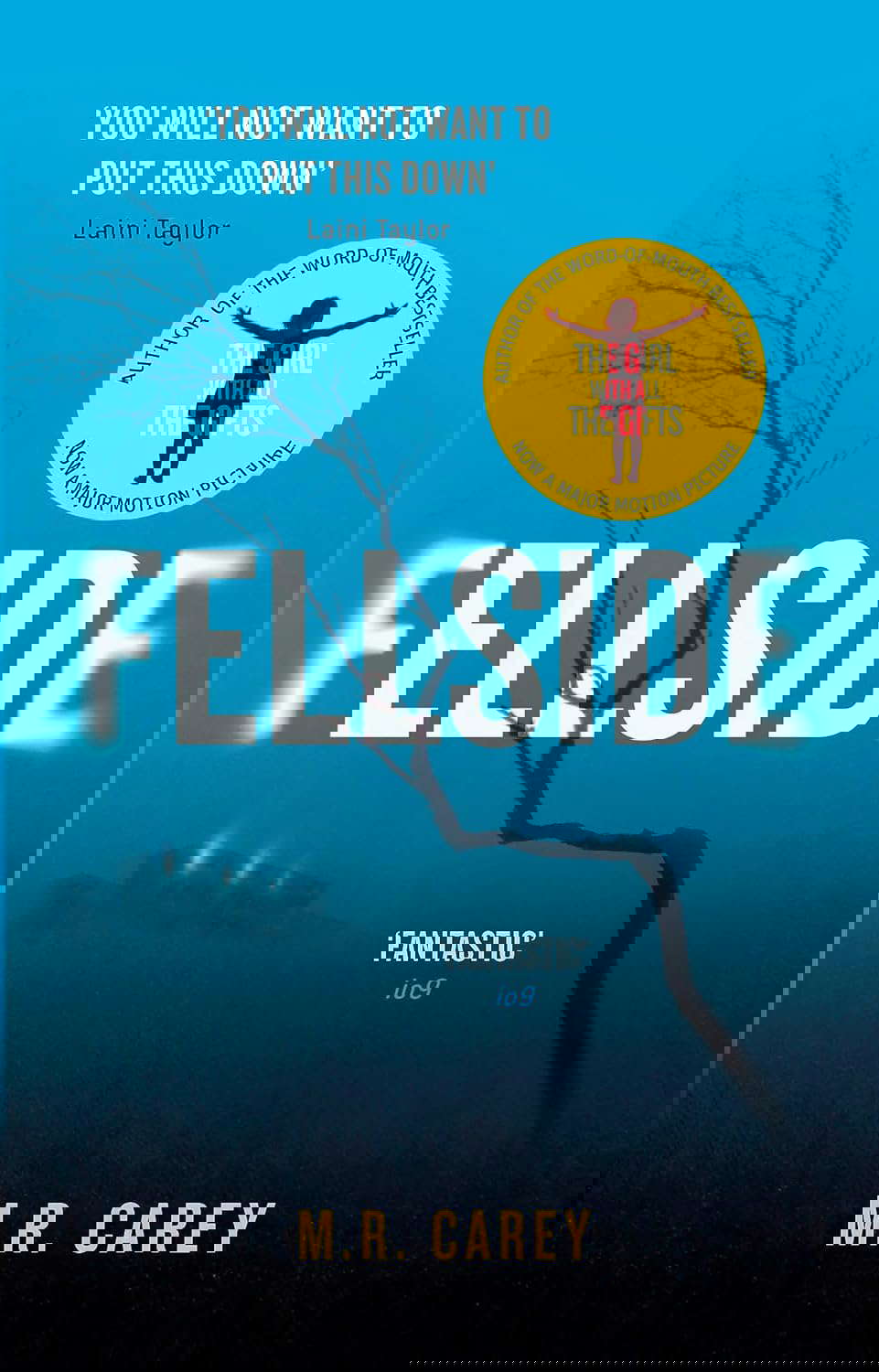 Fellside [Paperback] [Aug 24, 2016] M.R. Carey poster