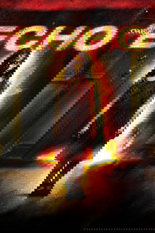 The Echo poster