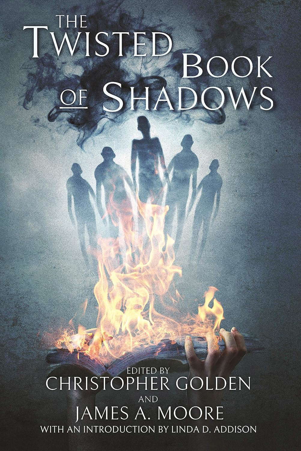 The Twisted Book Of Shadows poster