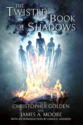 The Twisted Book Of Shadows poster