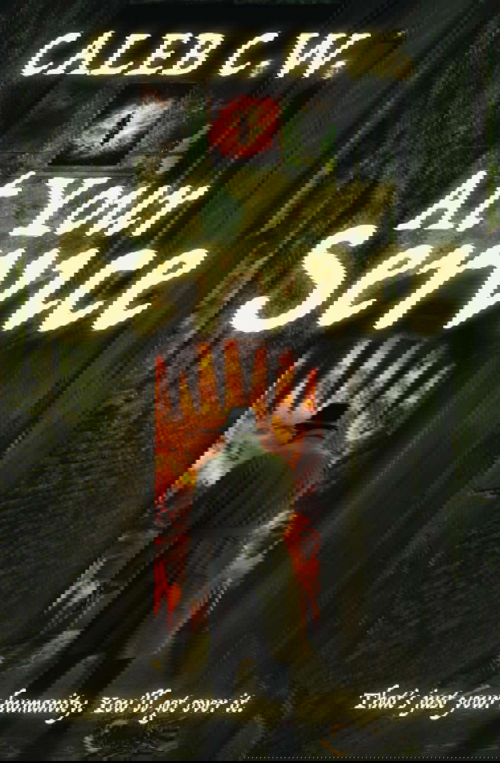 At Your Service: A Debut Dark-Noir Fantasy poster