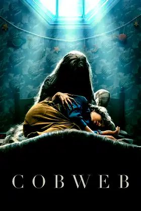 Cobweb poster