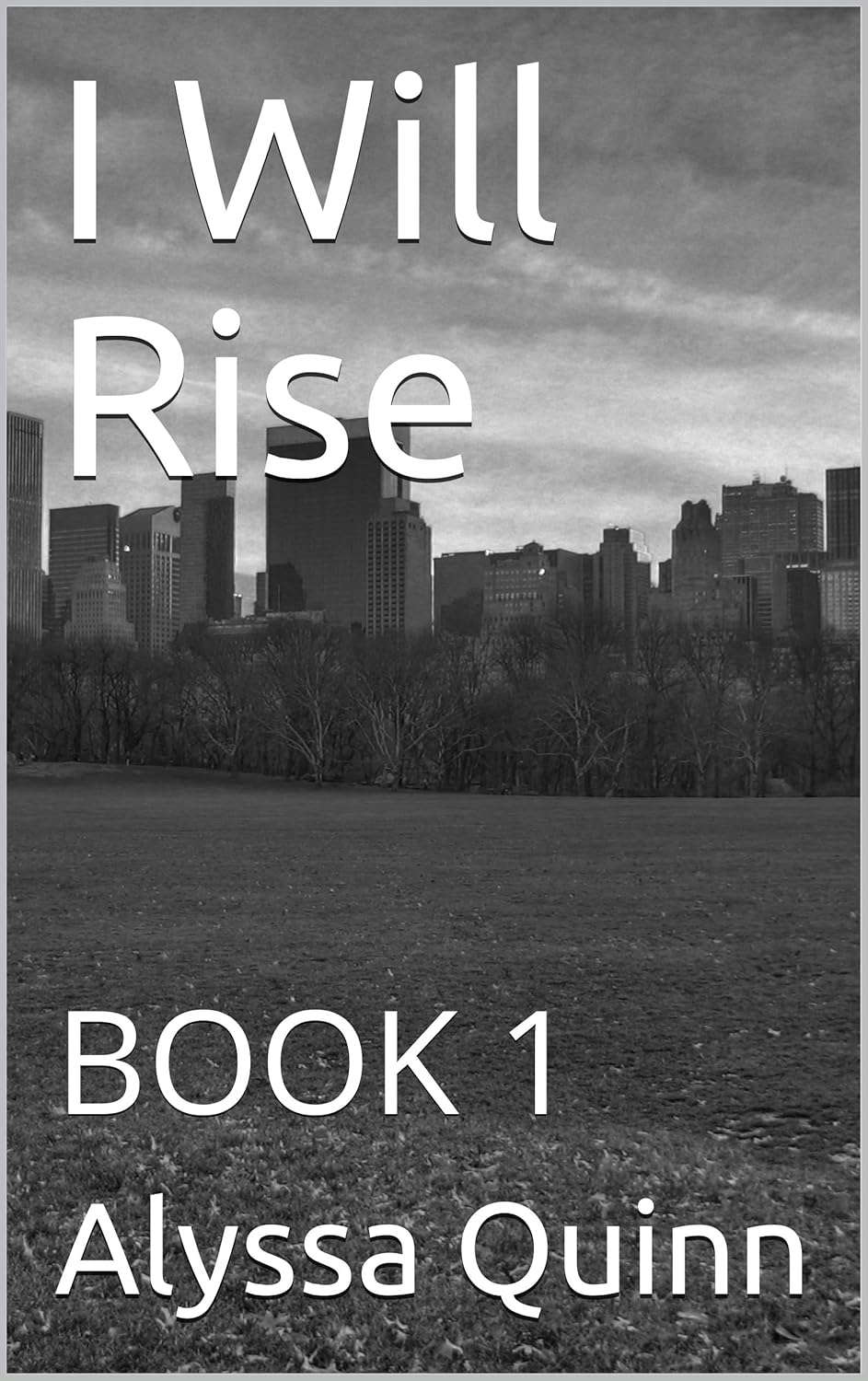 I Will Rise: BOOK 1 poster