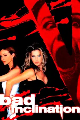 Bad Inclination poster