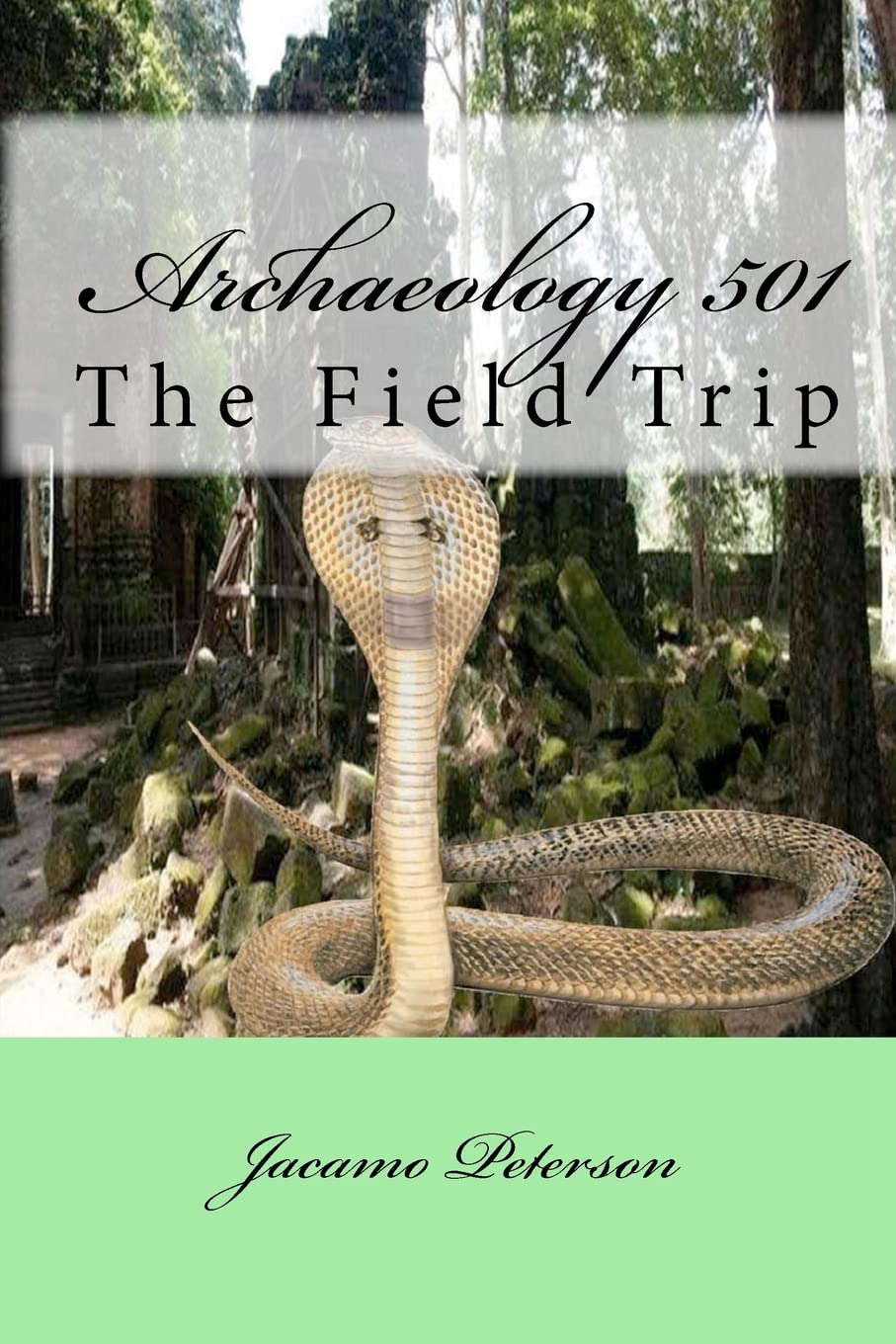 Archaeology 501: The Field Trip poster