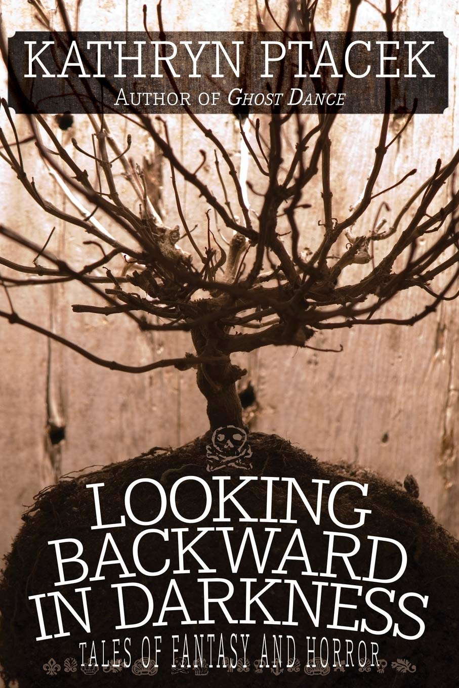 Looking Backward in Darkness: Tales of Fantasy and Horror poster