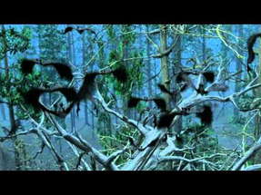 Bats: Human Harvest - Trailer poster
