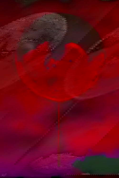 Faces of Calamity: The Movie poster