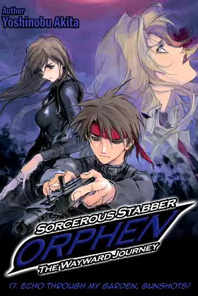 Sorcerous Stabber Orphen: The Wayward Journey Volume 17 poster