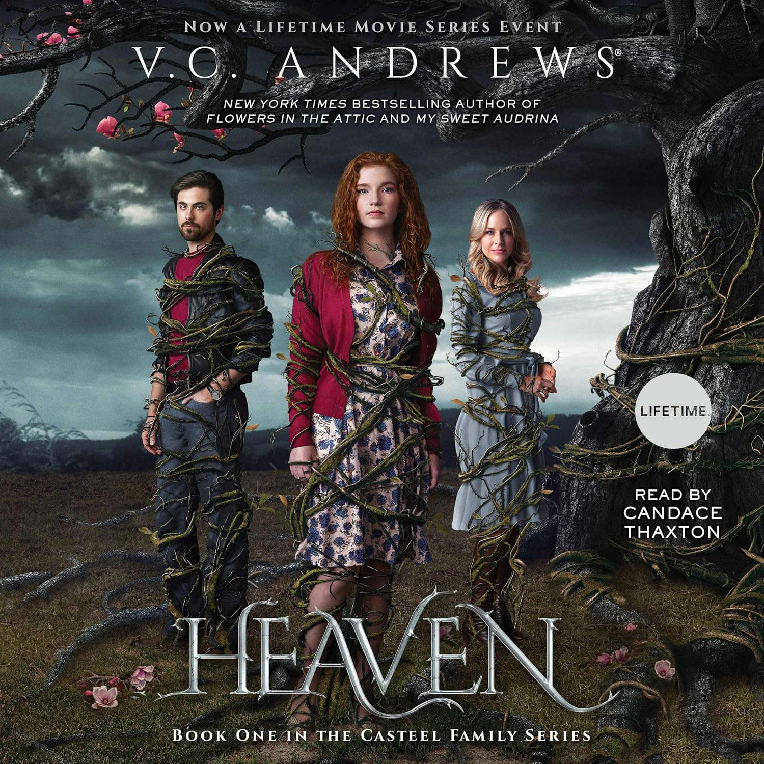 Heaven (Casteel Series, 1) poster