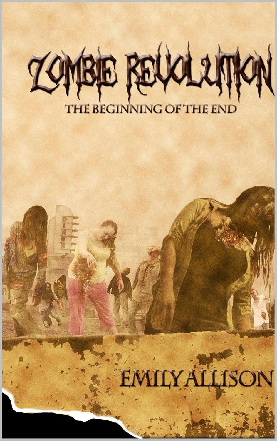 Zombie Revolution The Beginning of the End poster